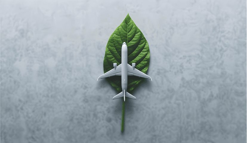 Low-Impact Air Freight